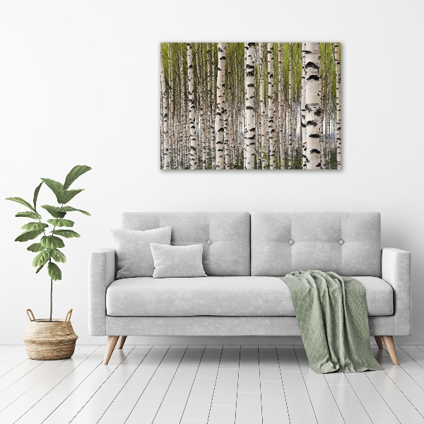 Quadro su vetro acrilico Foresta di betulle