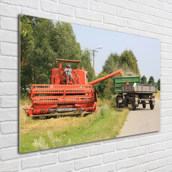 Quadro vetro acrilico Mietitrebbia