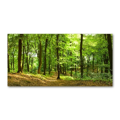 Quadro su vetro acrilico Sentiero nel bosco