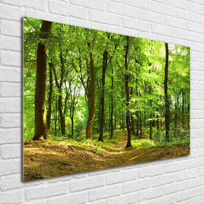 Quadro su vetro acrilico Sentiero nel bosco