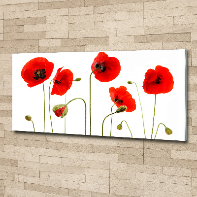 Quadro su vetro acrilico Papaveri