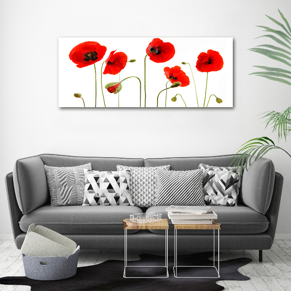 Quadro su vetro acrilico Papaveri