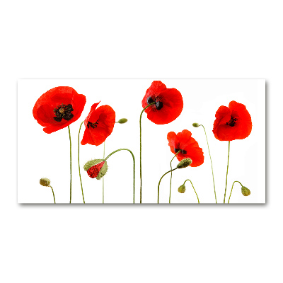 Quadro su vetro acrilico Papaveri