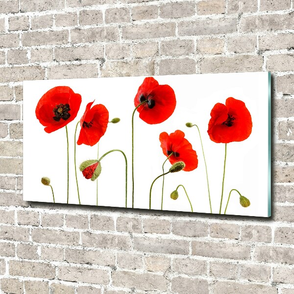 Quadro su vetro acrilico Papaveri