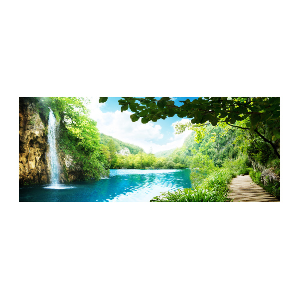 Quadro in vetro acrilico Cascata nella foresta