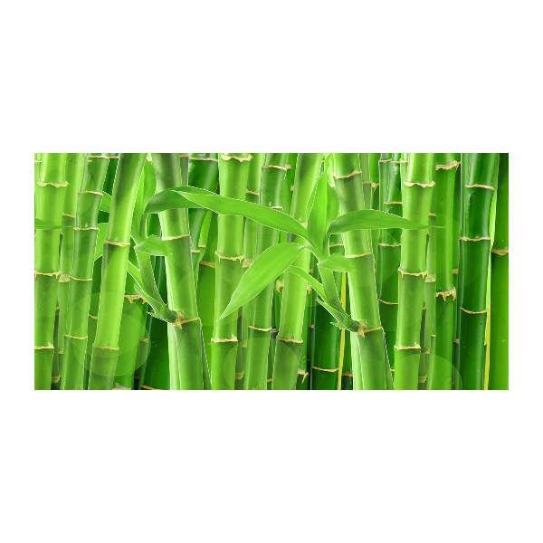 Quadro in vetro acrilico Bambù