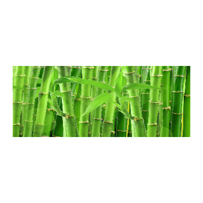 Quadro in vetro acrilico Bambù