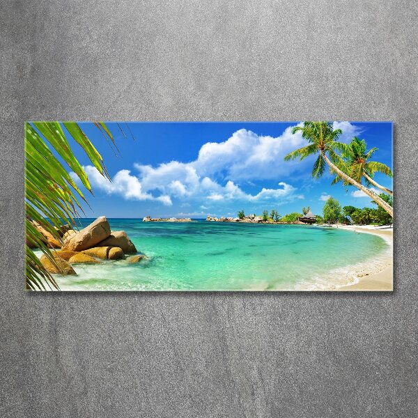 Quadro vetro acrilico Spiaggia delle Seychelles