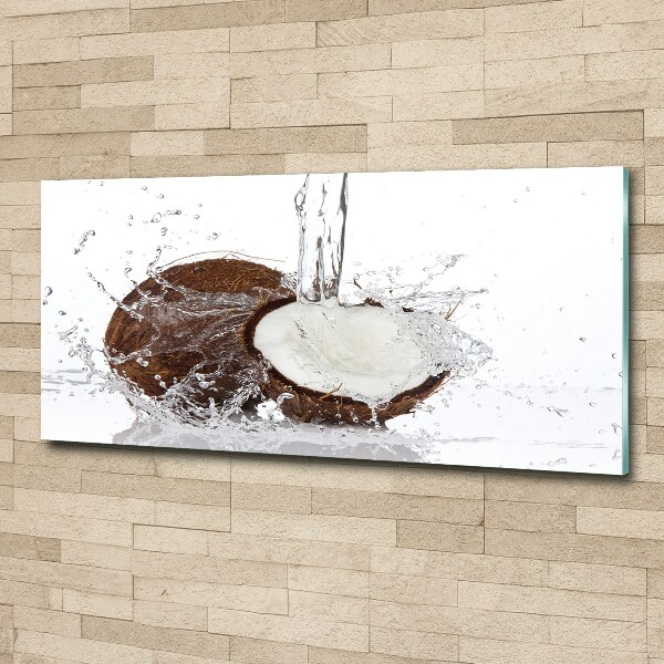 Quadro in vetro acrilico Noce di cocco