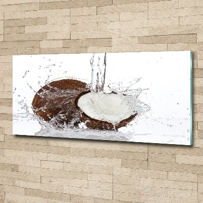 Quadro in vetro acrilico Noce di cocco