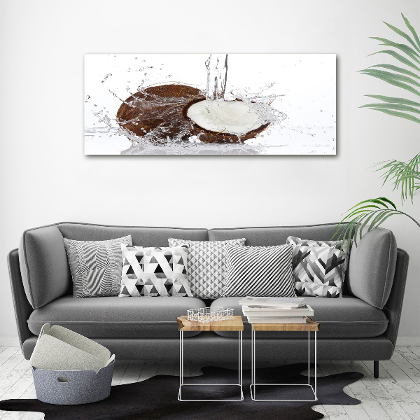 Quadro in vetro acrilico Noce di cocco