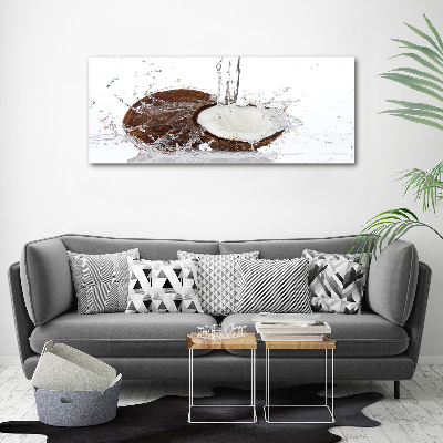 Quadro in vetro acrilico Noce di cocco