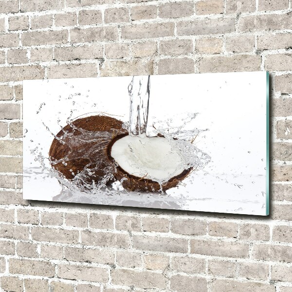 Quadro in vetro acrilico Noce di cocco