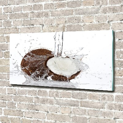 Quadro in vetro acrilico Noce di cocco