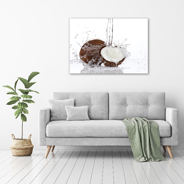 Quadro in vetro acrilico Noce di cocco