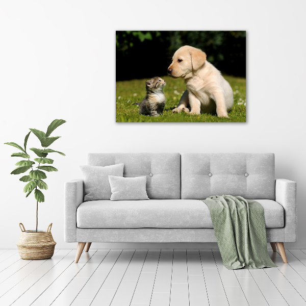 Quadro in vetro acrilico Cane e gatto nel prato