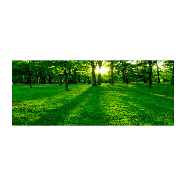 Quadro in vetro acrilico Erba nel parco