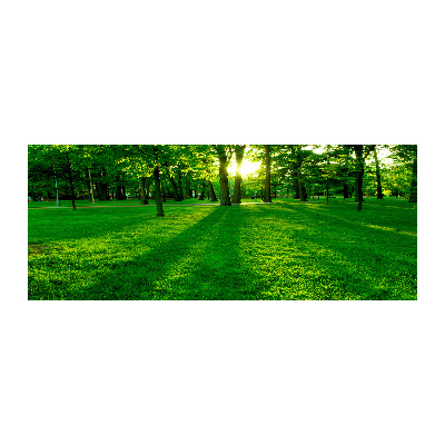 Quadro in vetro acrilico Erba nel parco