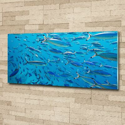 Quadro vetro acrilico Pesce corallo