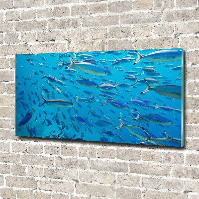 Quadro vetro acrilico Pesce corallo