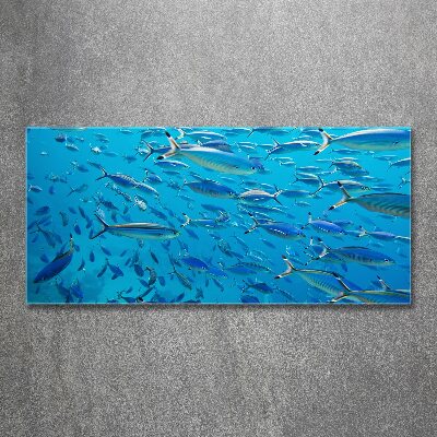 Quadro vetro acrilico Pesce corallo