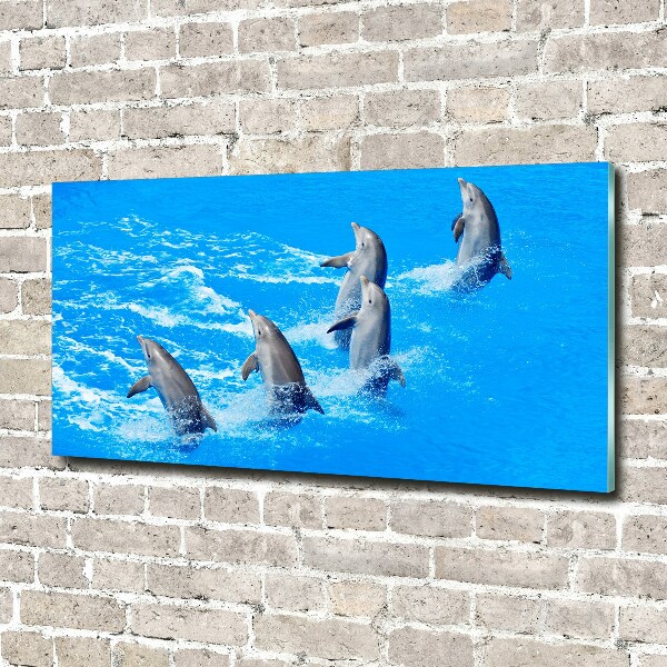 Quadro su vetro acrilico Delfini