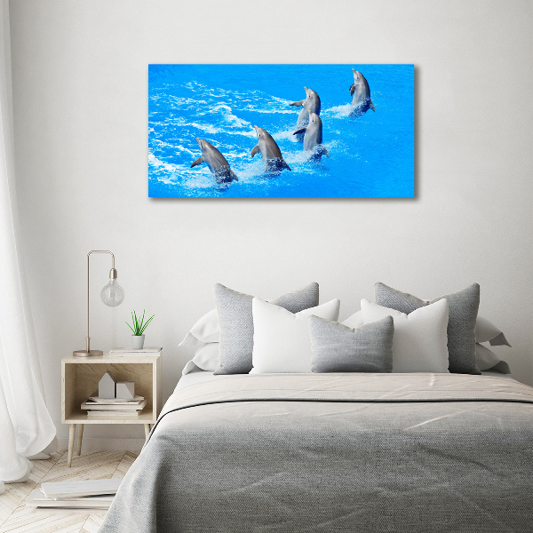 Quadro su vetro acrilico Delfini