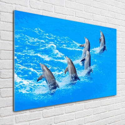 Quadro su vetro acrilico Delfini