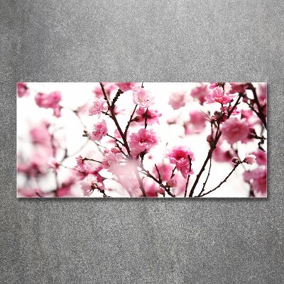 Quadro su vetro acrilico Fiore di prugno