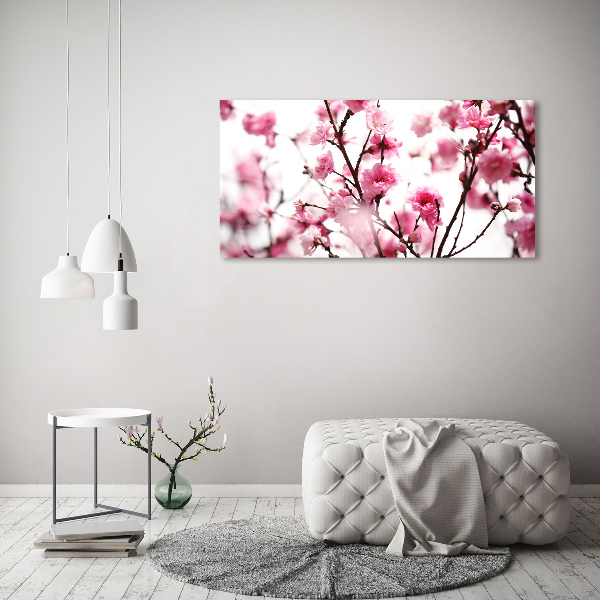 Quadro su vetro acrilico Fiore di prugno