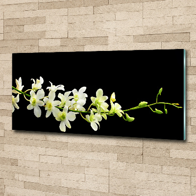 Quadro in vetro acrilico Orchidea
