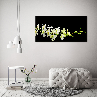 Quadro in vetro acrilico Orchidea