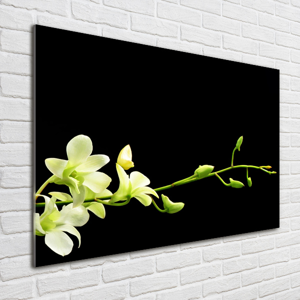 Quadro in vetro acrilico Orchidea