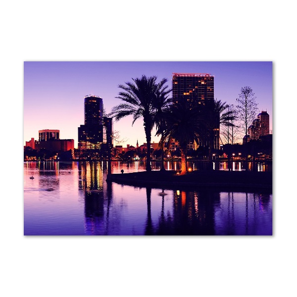 Quadro in vetro acrilico Orlando, USA