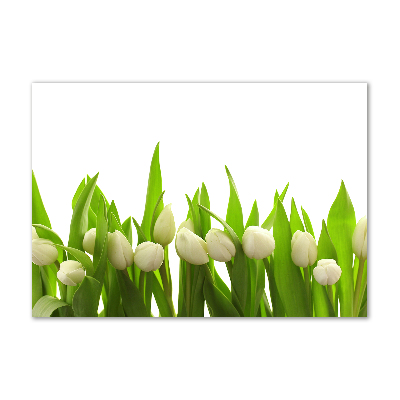 Quadro vetro acrilico Tulipani bianchi