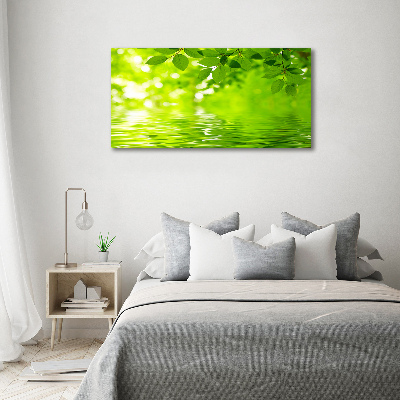 Quadro in vetro acrilico Foglie verdi