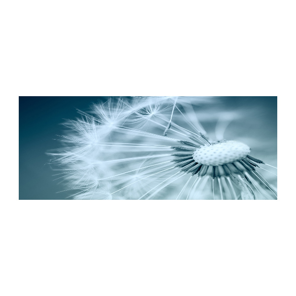 Quadro vetro acrilico Dente di leone