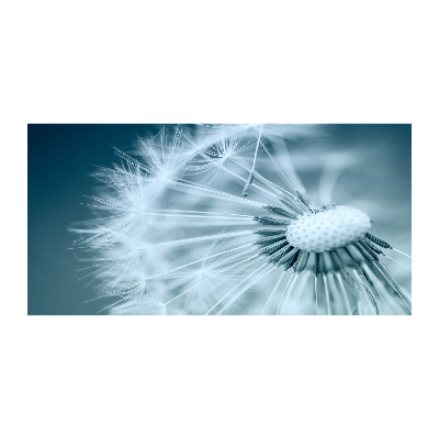 Quadro vetro acrilico Dente di leone