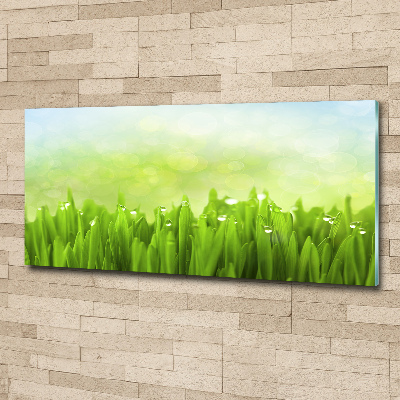 Quadro su vetro acrilico Erba