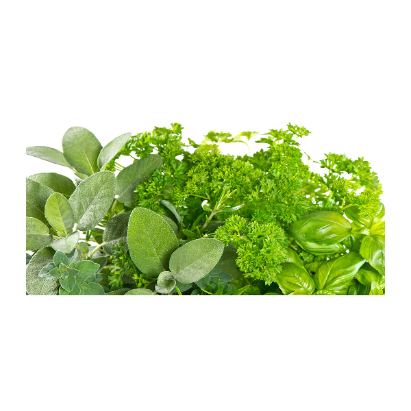 Quadro vetro acrilico Erbe