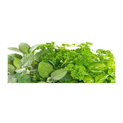 Quadro vetro acrilico Erbe