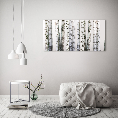 Quadro in vetro acrilico Tronchi di betulla