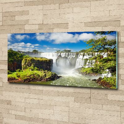 Quadro in vetro acrilico Cascata argentina