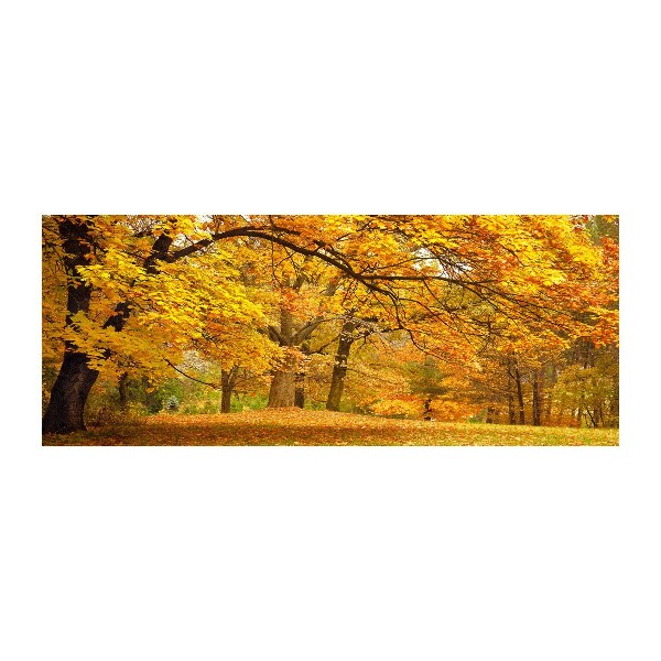 Quadro vetro acrilico Autunno al parco