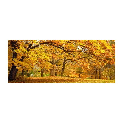 Quadro vetro acrilico Autunno al parco