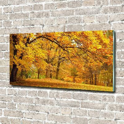 Quadro vetro acrilico Autunno al parco