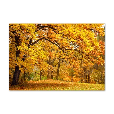 Quadro vetro acrilico Autunno al parco