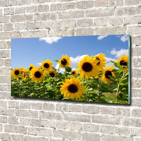 Quadro vetro acrilico Girasoli