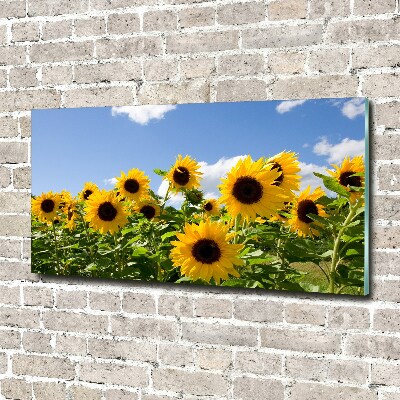 Quadro vetro acrilico Girasoli