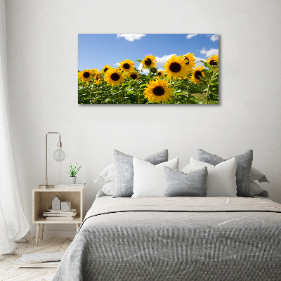 Quadro vetro acrilico Girasoli